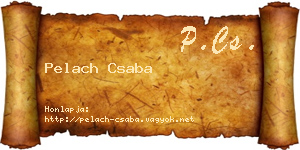 Pelach Csaba névjegykártya